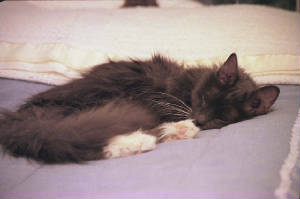 Sweetie!